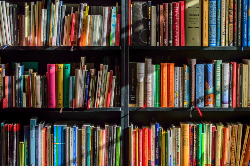 vente-CUEBRIS-min_books_bookstore_book_reading_shop_writer_sale_books_read-822866